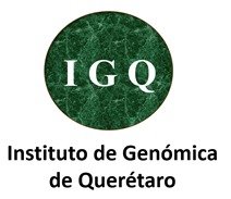 Cursos de Bioetica en investigacion Mexico 2025